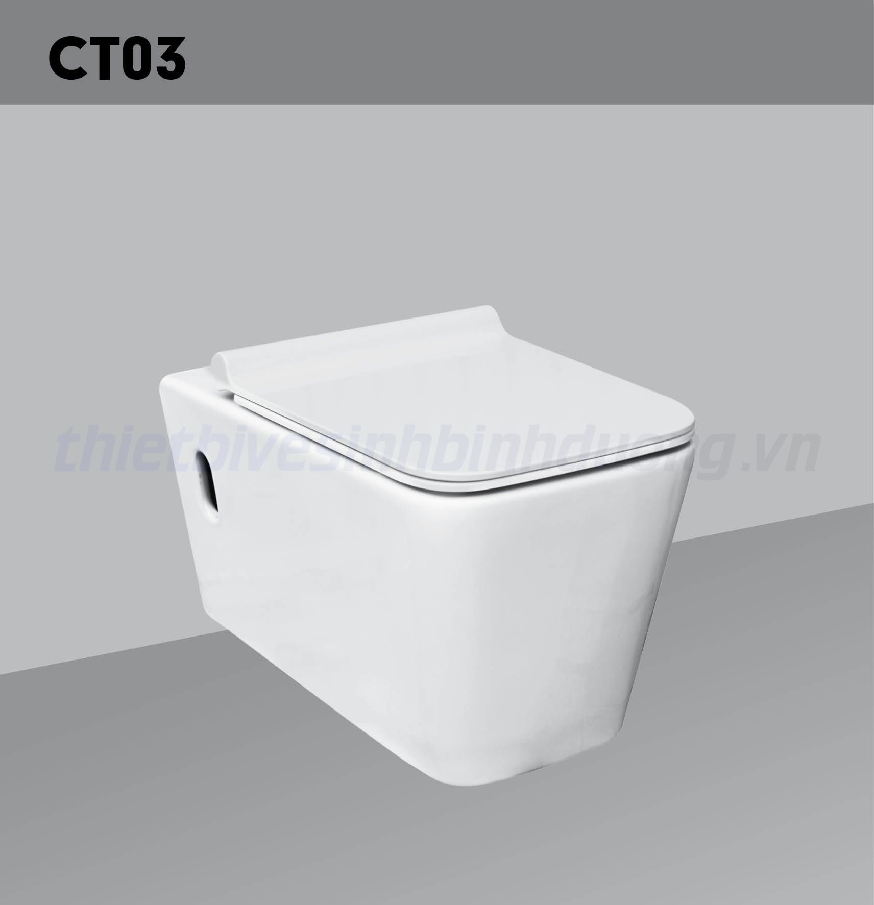 Bồn cầu sứ Hảo Cảnh HC CT03